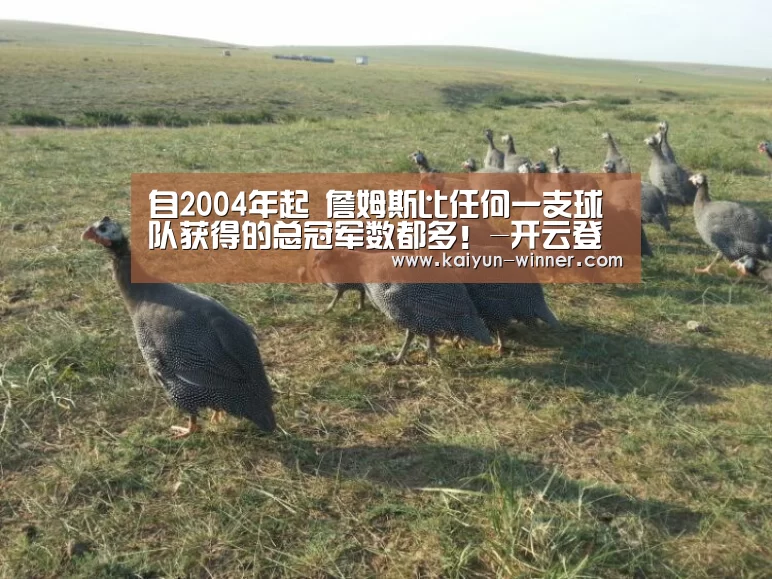 自2004年起 詹姆斯比任何一支球队获得的总冠军数都多!-开云登录(图4) 开云官网