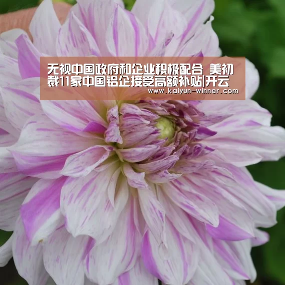 开云登录